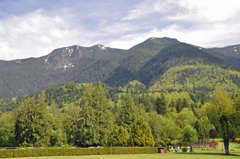 golf course, tree, mountains